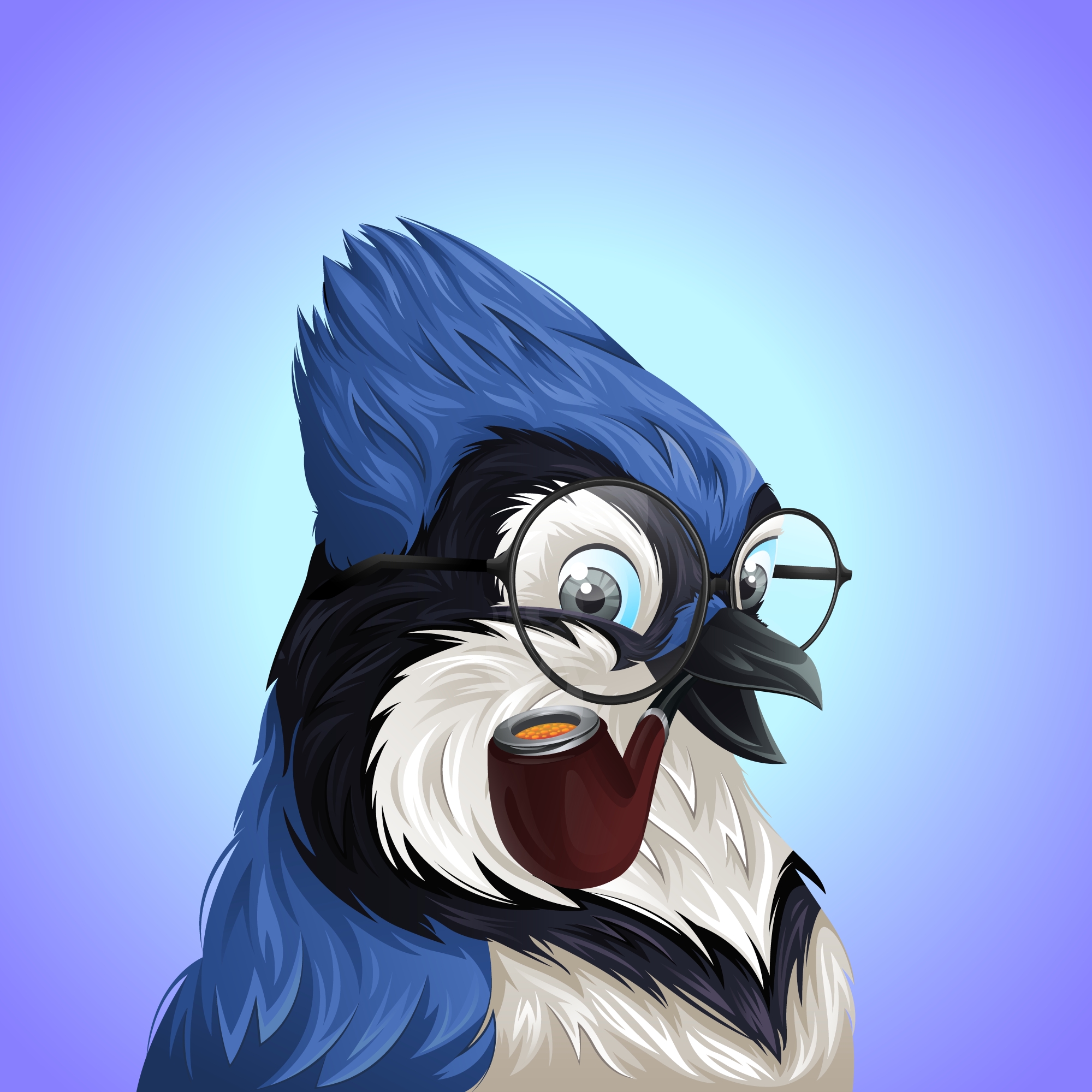 #3658 Bluejay